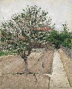 Gustave Caillebotte Apple Tree in Bloom France oil painting artist